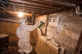 Mold grow in crawl space 1